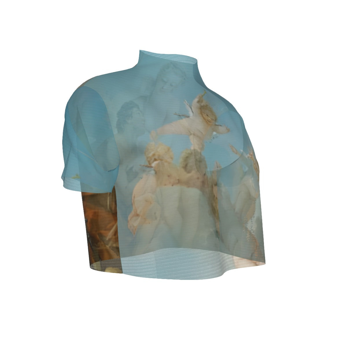 Villa Blvd Venus & Vulcan Mesh Crop Top