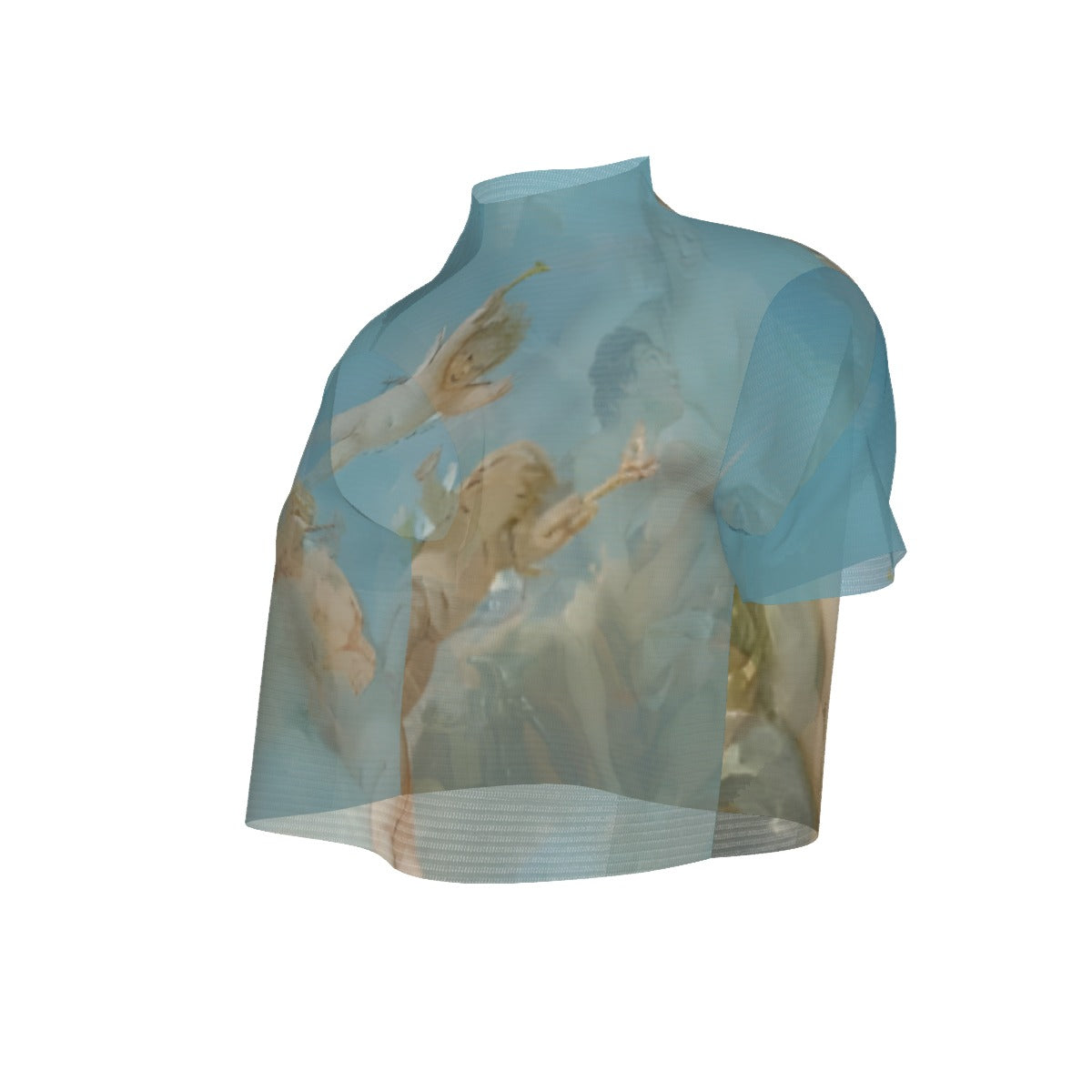 Villa Blvd Venus & Vulcan Mesh Crop Top