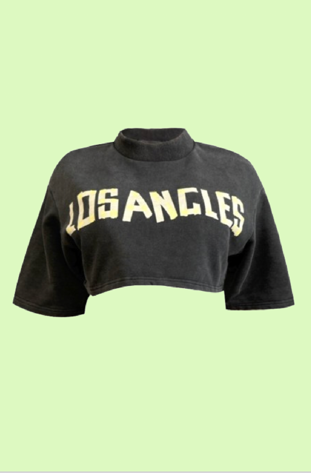 Villa Blvd ƎDEN Los Angeles Mineral Wash Cropped Sweatshirt