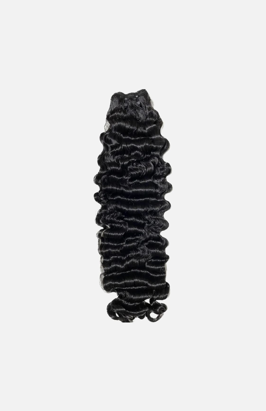 Villa Blvd RAW Burmese Curly
