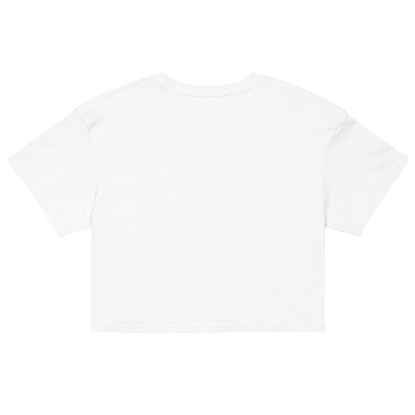 Villa Blvd Université Athletic Crop Top