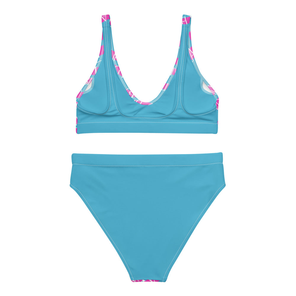 Villa Blvd Hot Pink & Blue Monogram Bikini