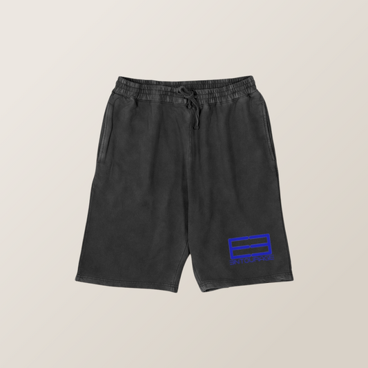 Villa Blvd Ǝntourage Vintage Shorts