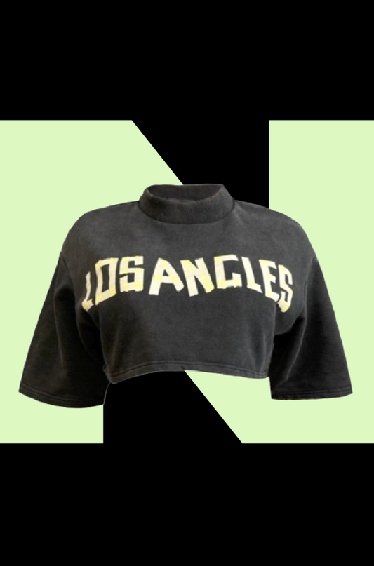 Villa Blvd ƎDEN Los Angeles Mineral Wash Cropped Sweatshirt