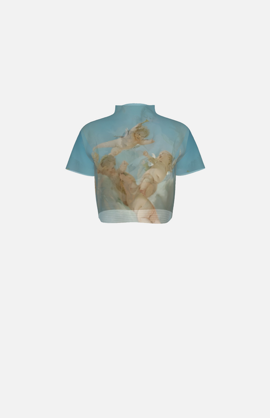 Villa Blvd Venus & Vulcan Mesh Crop Top